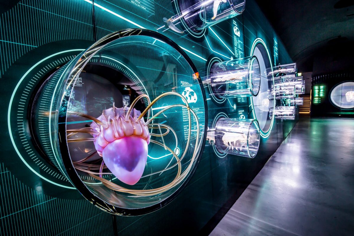 Hydropolis, Time Gates i więcej. Dolny Śląsk rusza z promocją atrakcji regionu