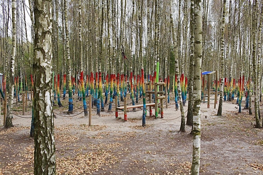 Las złudzeń i kolorów