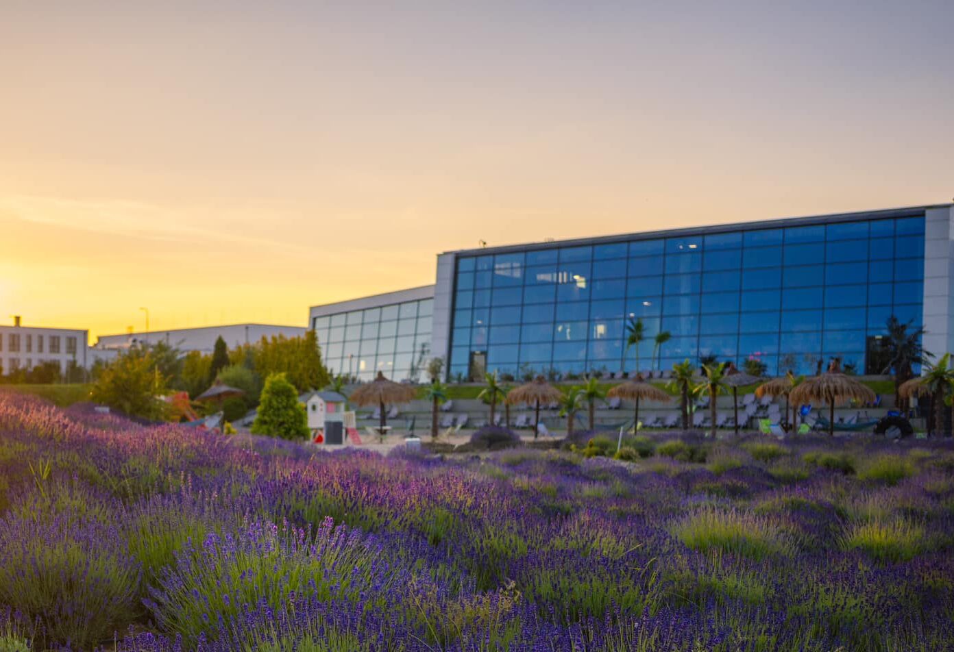 Tarnowskie Termy do rozbudowy. Idą duże zmiany