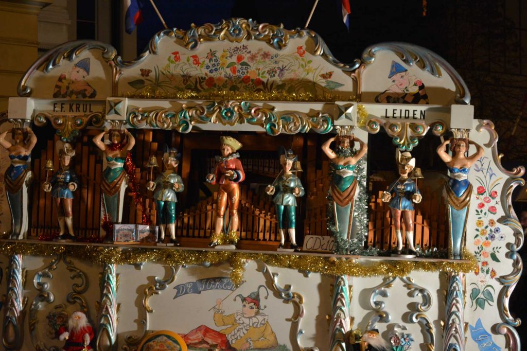 Katarynka holenderska