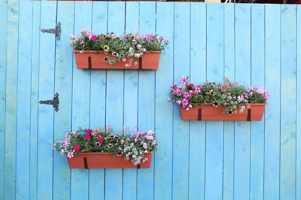 Trzy z 120 nowych donic z zielenią w Rabkolandzie