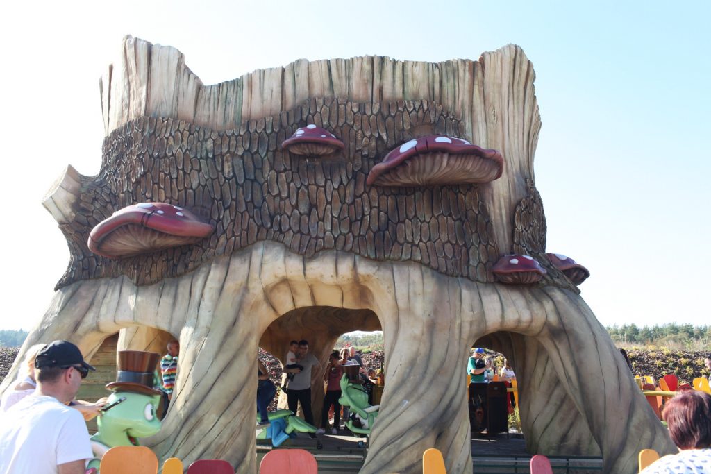 Przepiękne drzewo, z którego wyruszymy na podróż z guciem