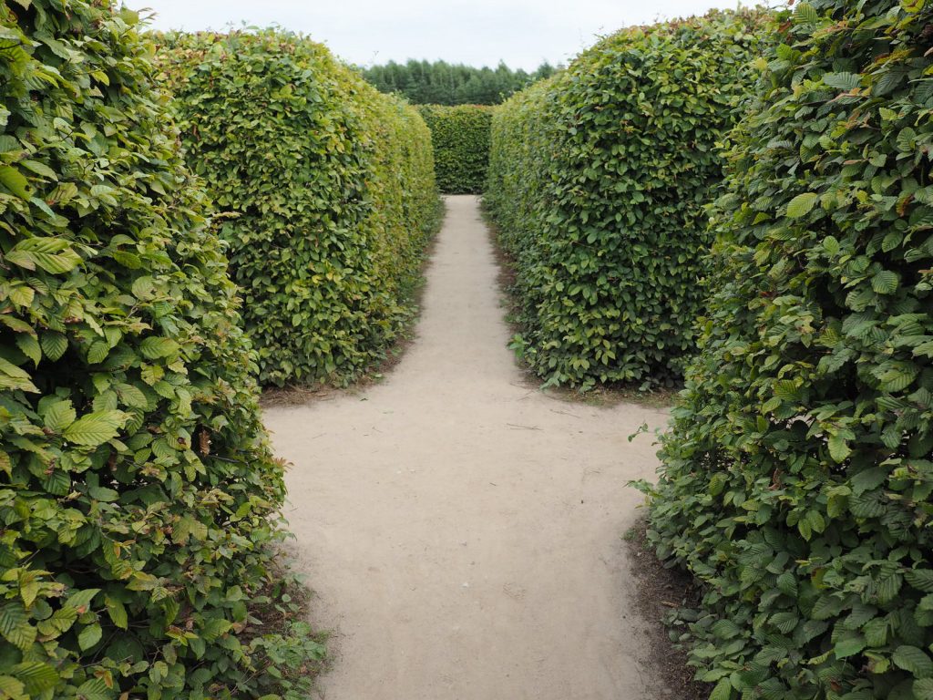 Labirynt - nie tak łatwo się z niego wydostać