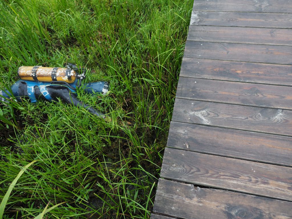 Nurek w parku wieloryba