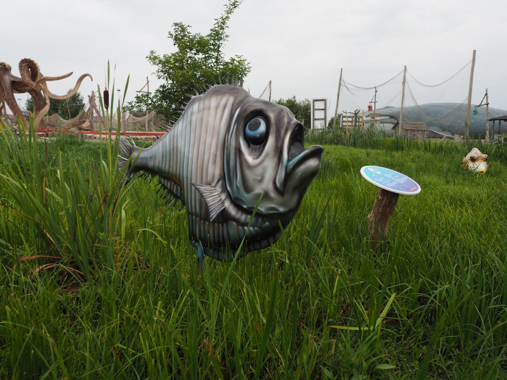 Smutna ryba w sympatycznym parku