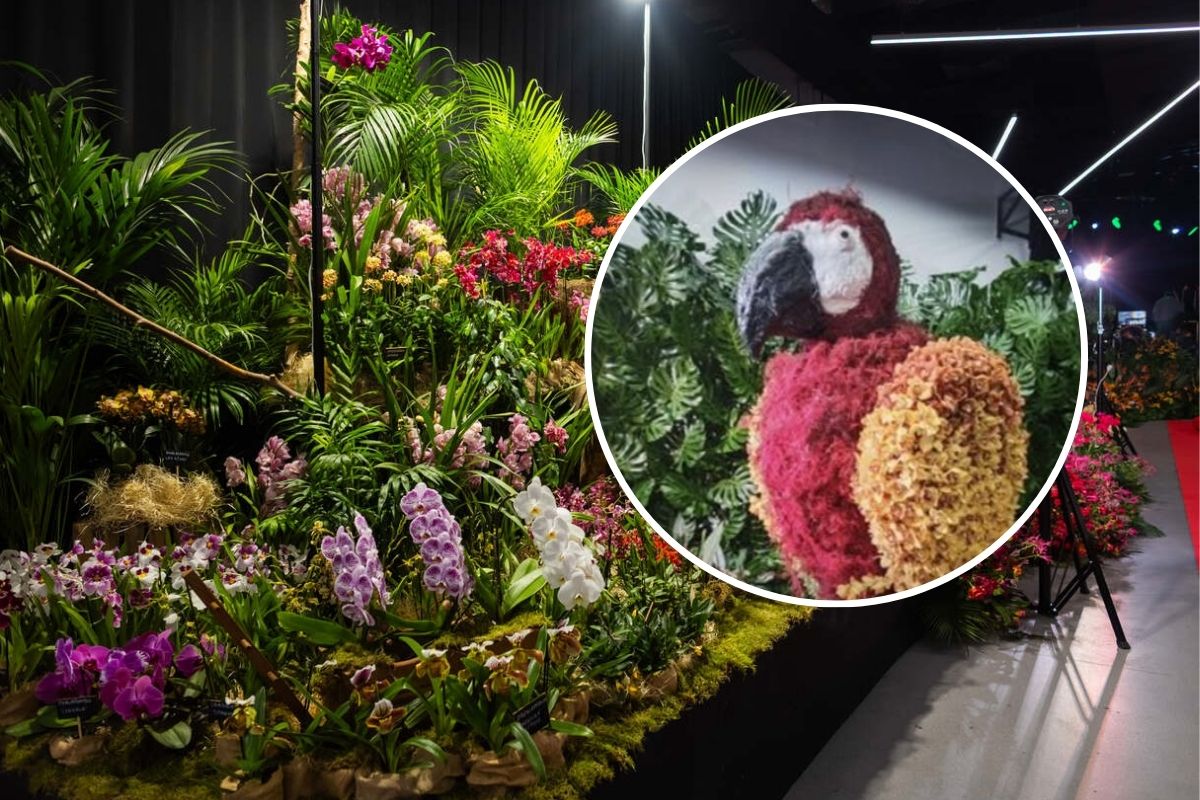 Kłopot z AI na World Flower Show w Poznaniu. Goście „wprowadzeni w błąd”, organizator odpowiada