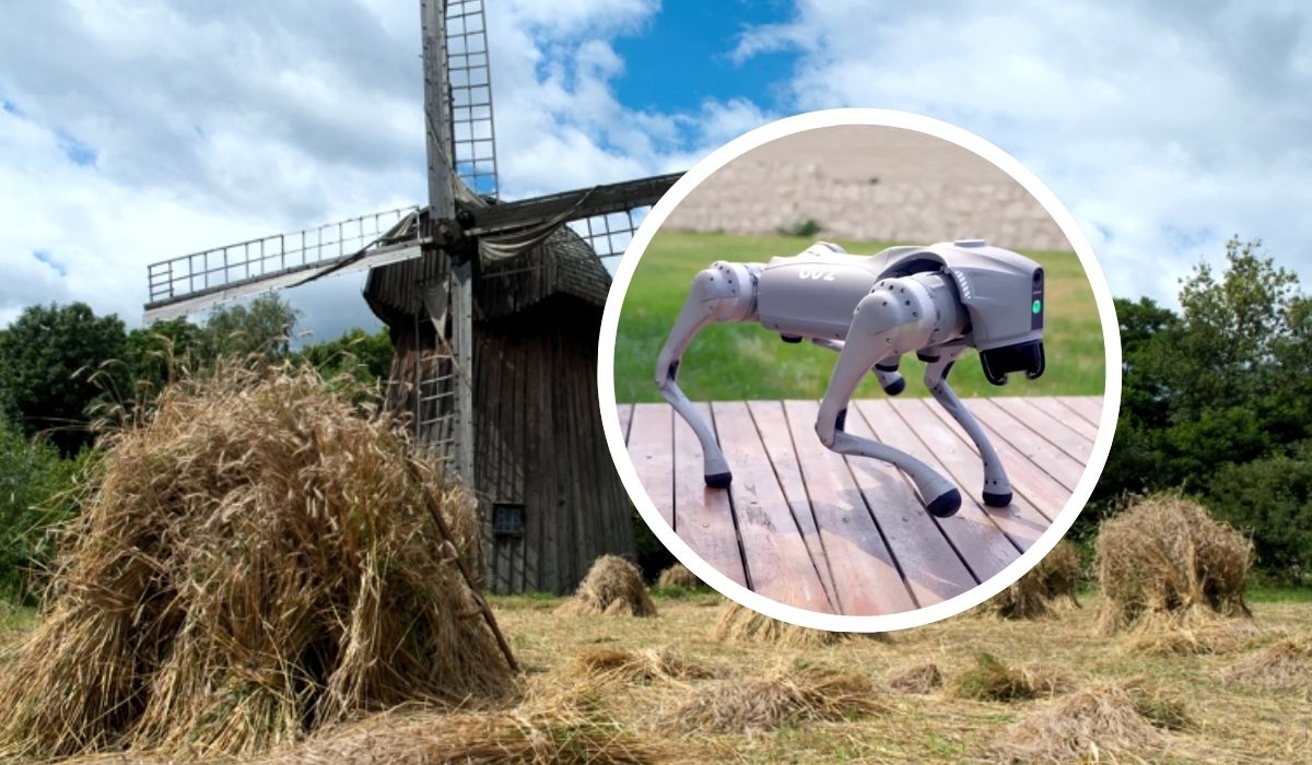 Robo-pies w Muzeum Wsi Lubelskiej. Nowe atrakcje w słynnym skansenie