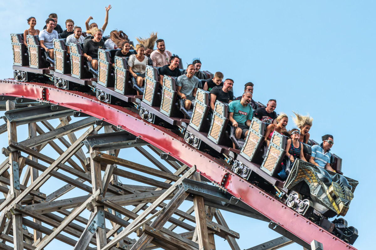 Zadra Made in Małopolska