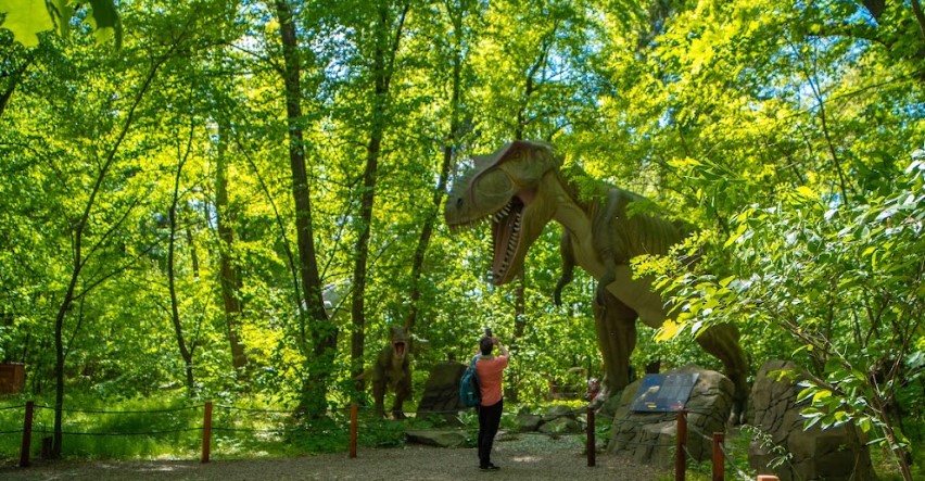 Nowe atrakcje w Zatorlandzie. Park dinozaurów zaczyna sezon 2025