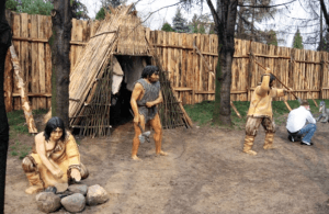 Zrzut ekranu 2014-12-14 (godz. 21.00.35)