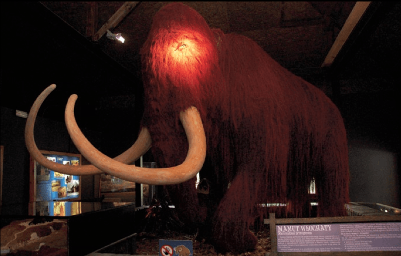 Mamut. Wychowany Epoce Lodowcowej myślałem, że mamuty były większe.