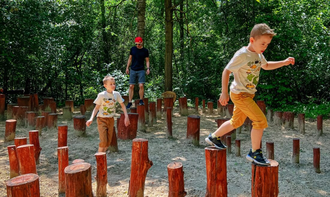 Las Odkrywców, Aquapark Fala, Żywe Muzeum Piernika wśród laureatów Złotych Pinów 2024
