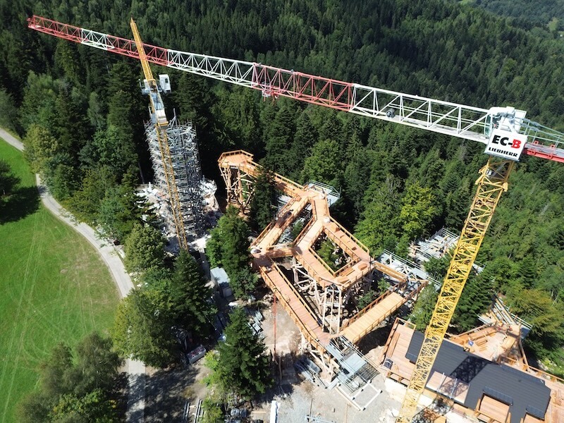 Ścieżka w koronach drzew w Wiśle