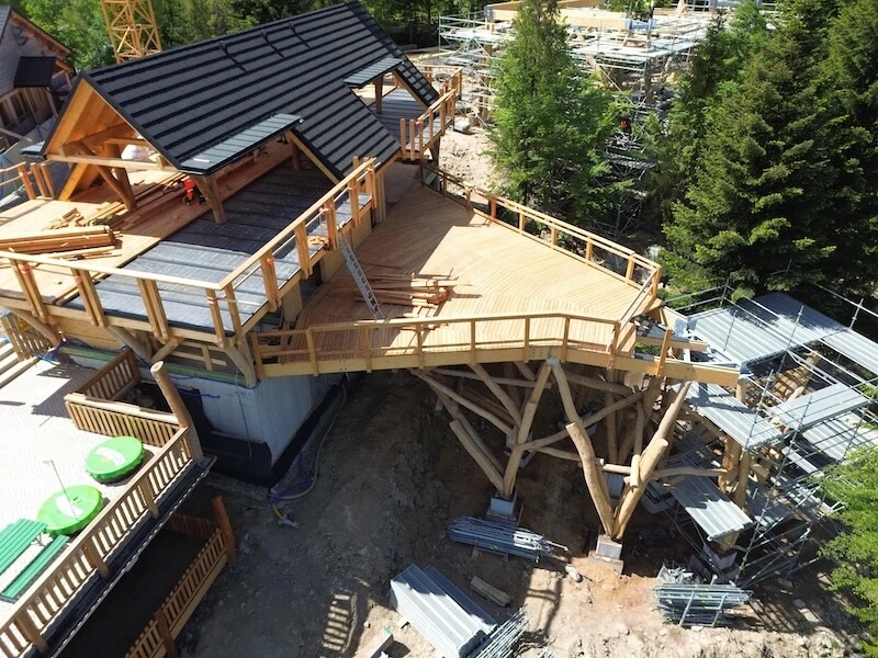 Ścieżka w koronach drzew w Wiśle