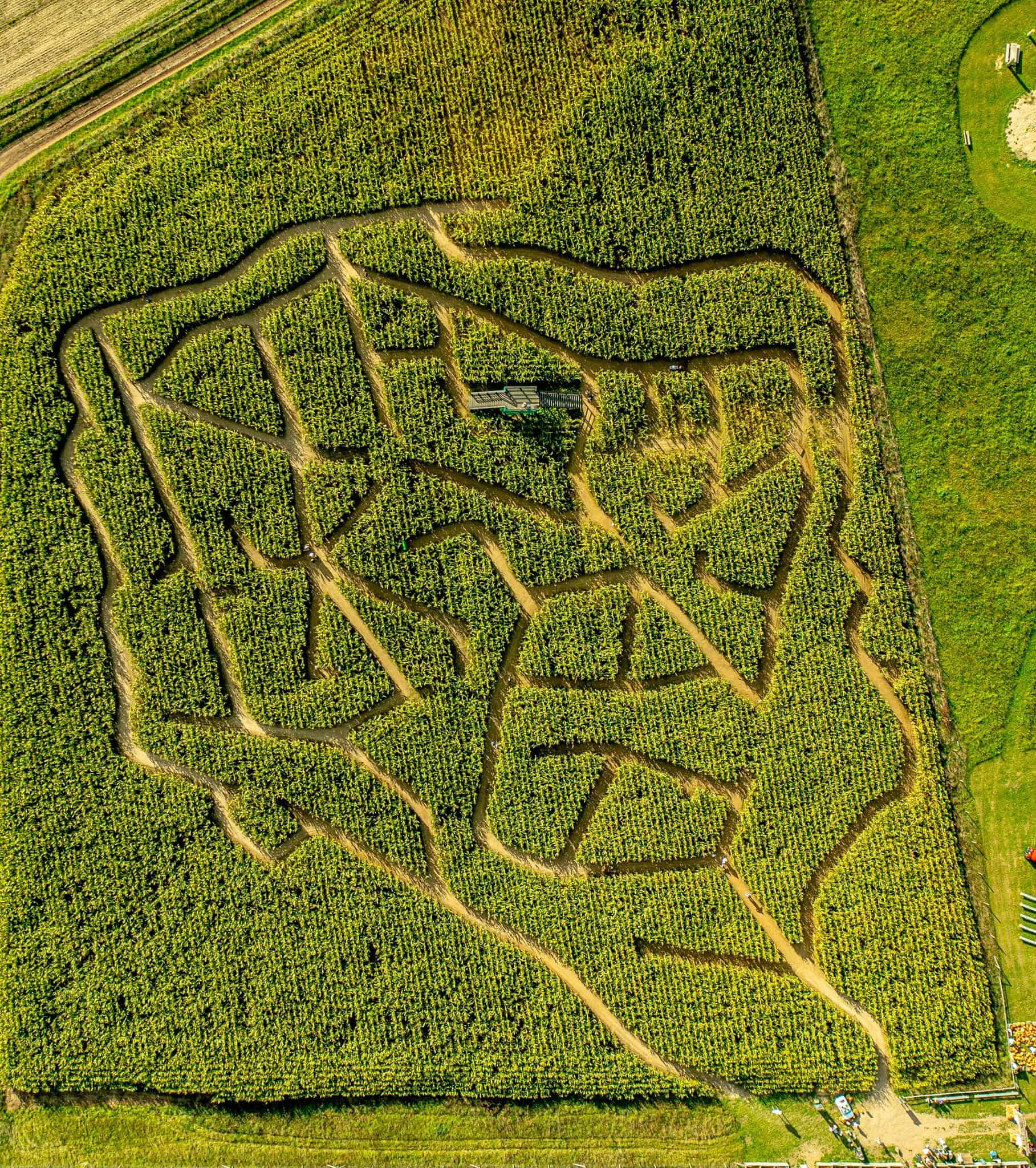 Farma Alexa z nowościami w sezonie 2025. Kolejne atrakcje i szkoły tematyczne